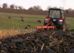 Pericol în agricultura sălăjeană